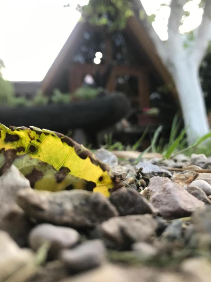 Бунгало Kheivani Eksteriør bilde